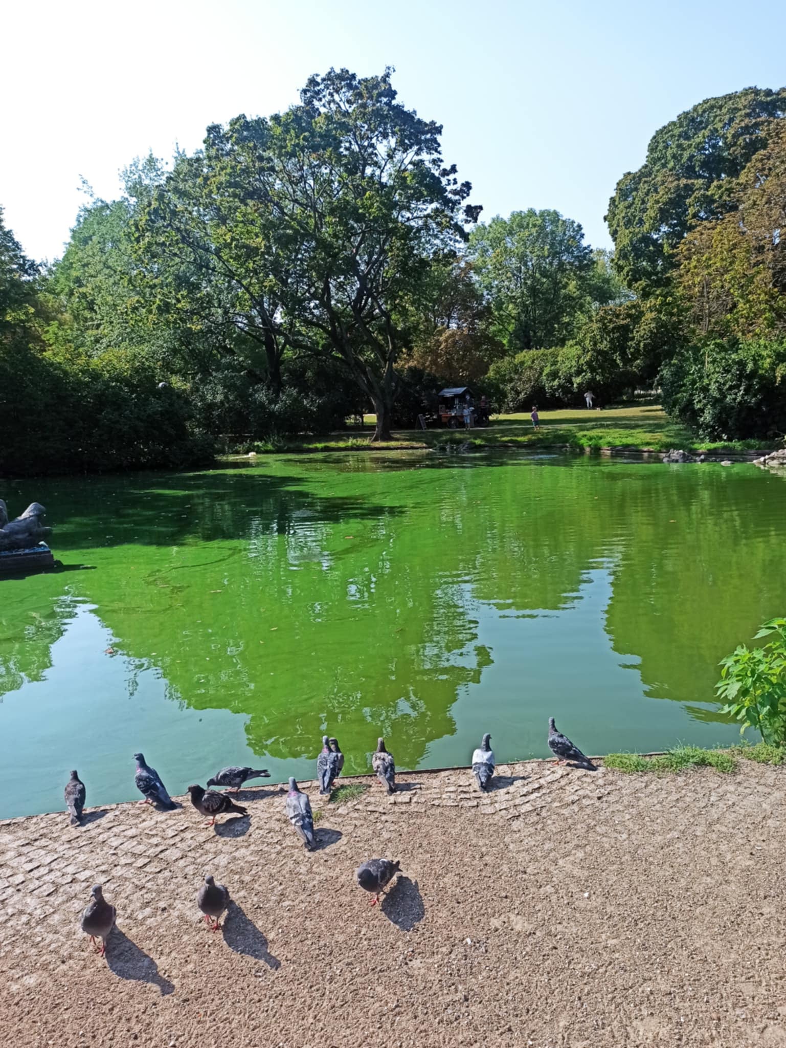 Messenger_creation_86003474-891A-40BE-A744-C39987514D2F