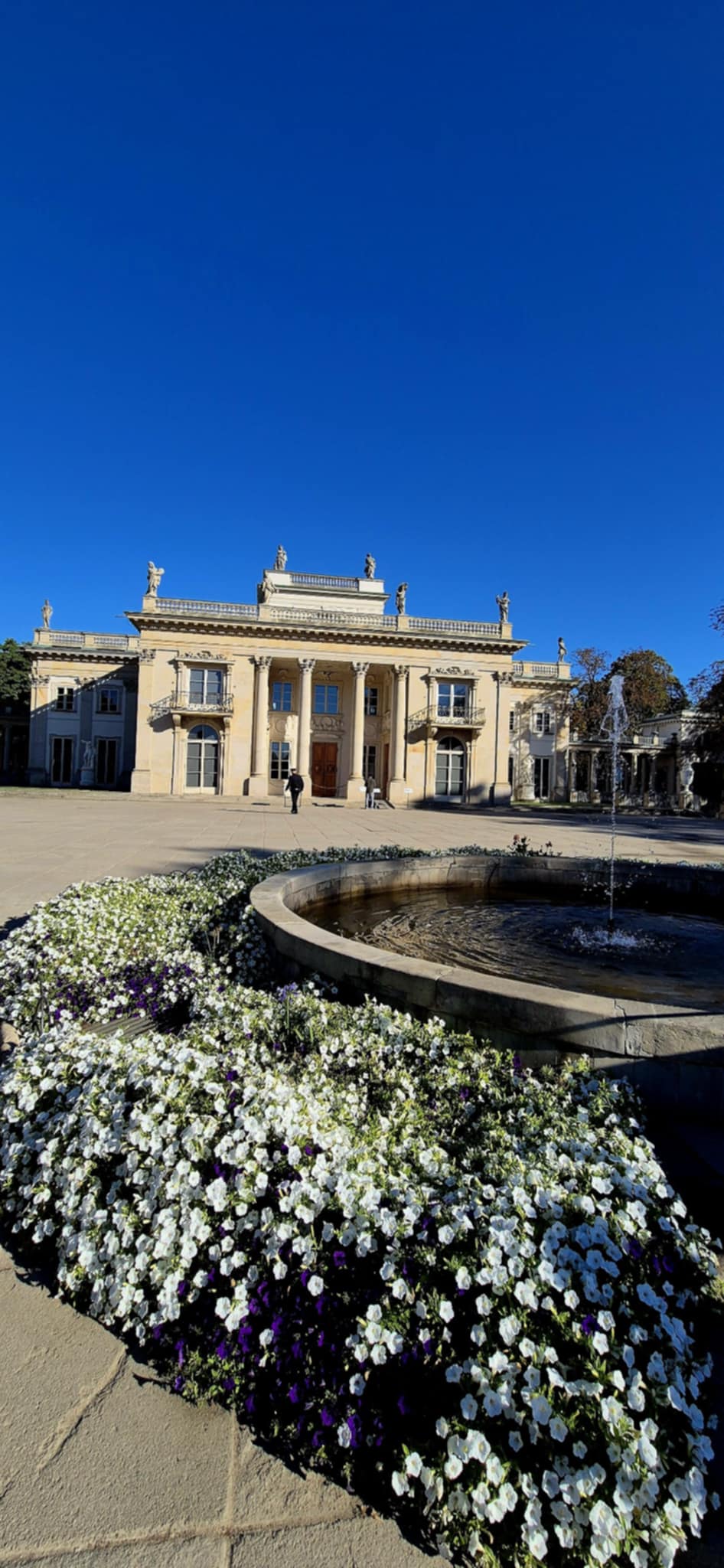 Messenger_creation_905ACF8D-EBBE-4E52-A597-E8A641BE0ED7