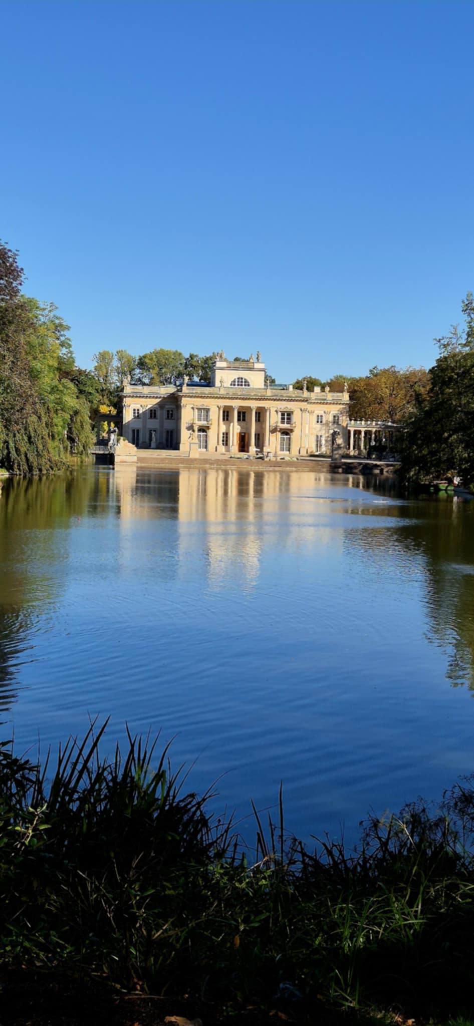 Messenger_creation_CCF4D0CF-D8E4-4C42-96A5-03B025E4DC9B